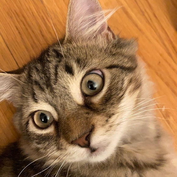 Meet your Posher, Brian - Picture 1 of 1